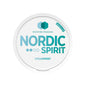 Nordic Spirit Nic Pouch Spearmint Regular 6mg