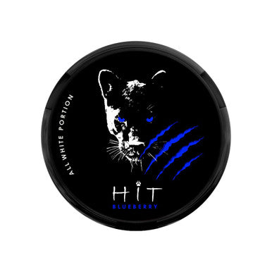 HIT DDG Blueberry Nic Pouches 19mg